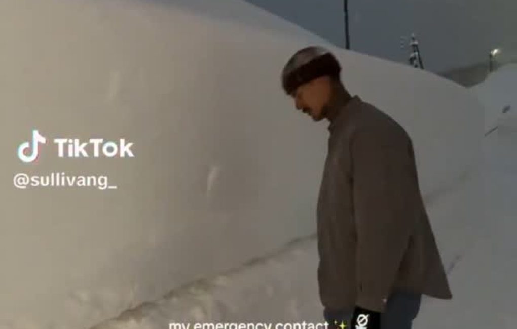 SaveClip.App_481130572_1282672896362318_3932307973039720911_n